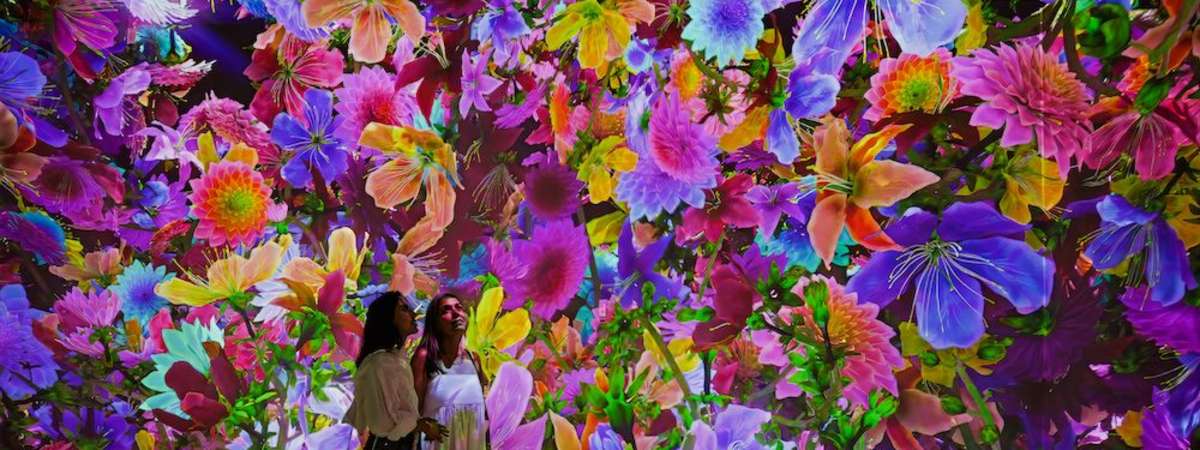 Blooming Wonders
