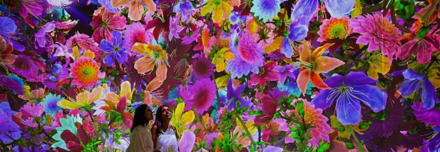 Blooming Wonders