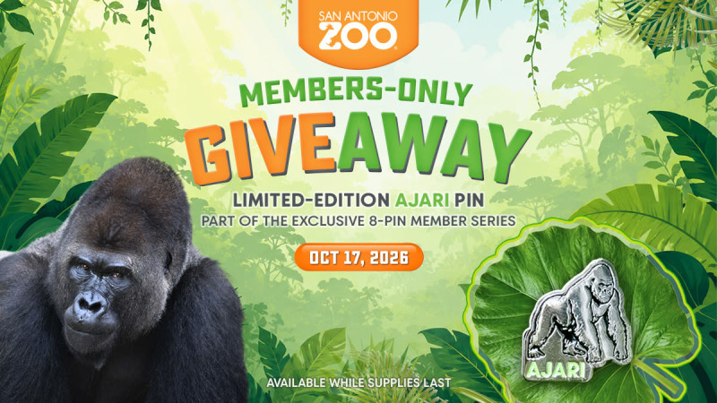 Member Giveaway Pin Day