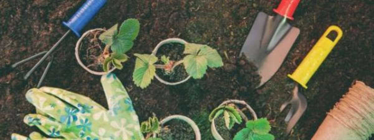 Gardening Group at West Perry
