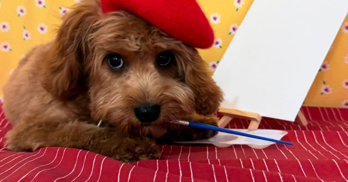 Photoboof Paint Your Pup!