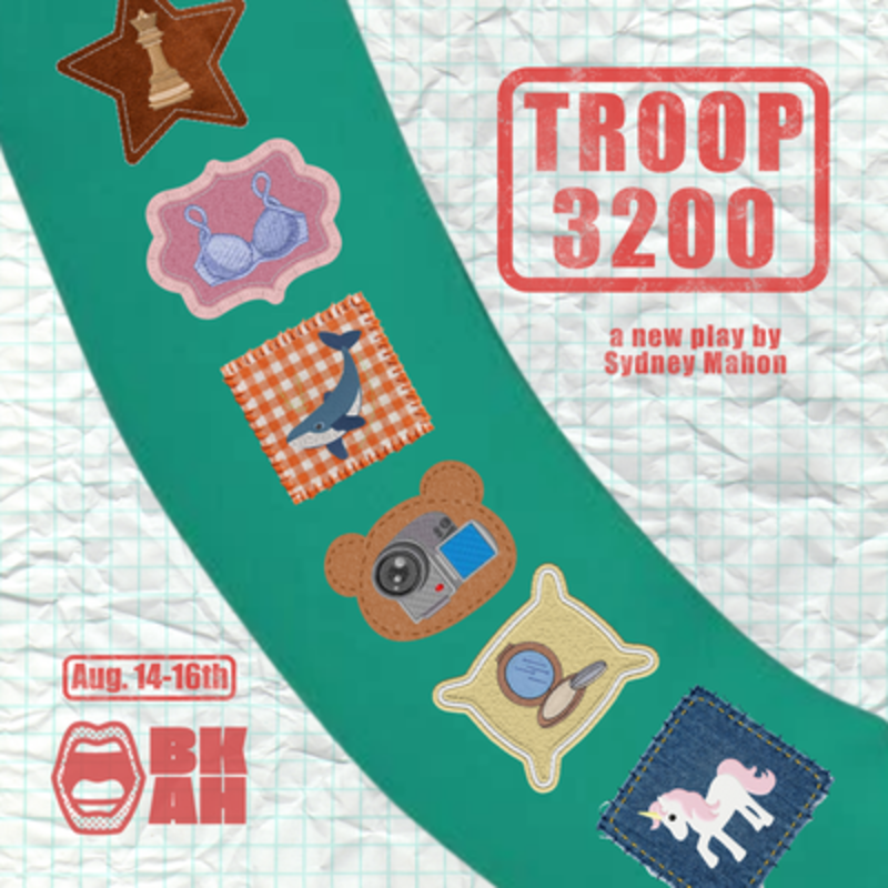 Troop 3200