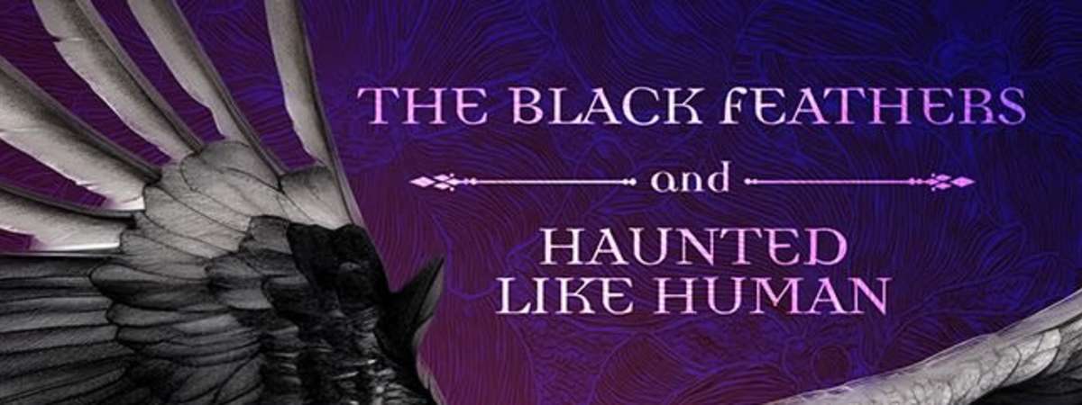The Black Feathers and Haunted Like Human