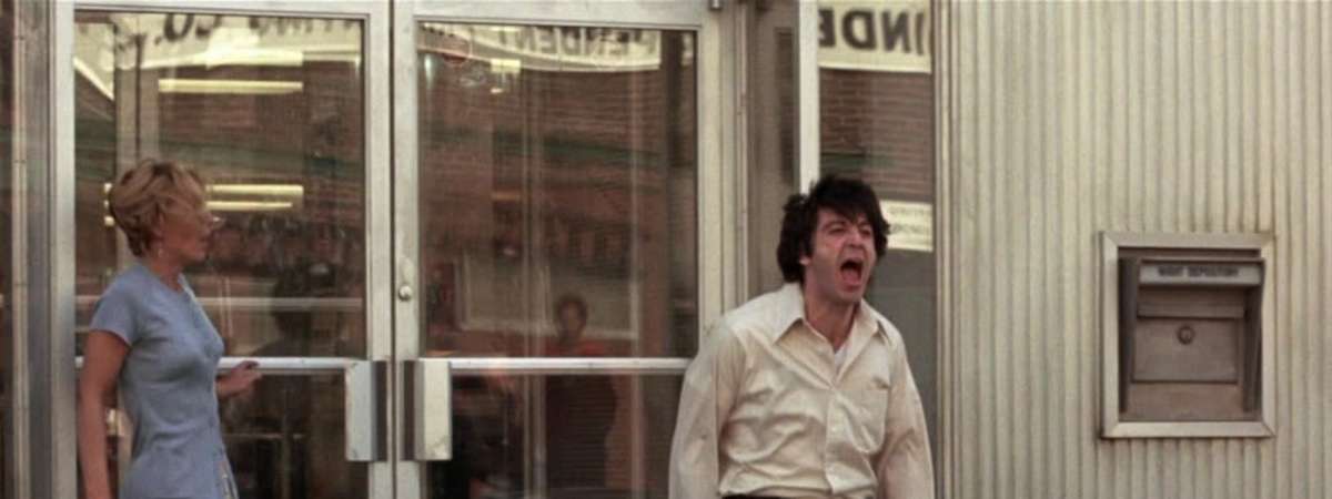 Dog Day Afternoon