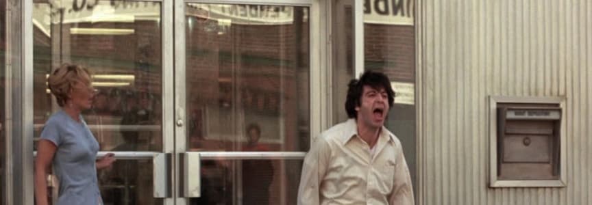 Dog Day Afternoon