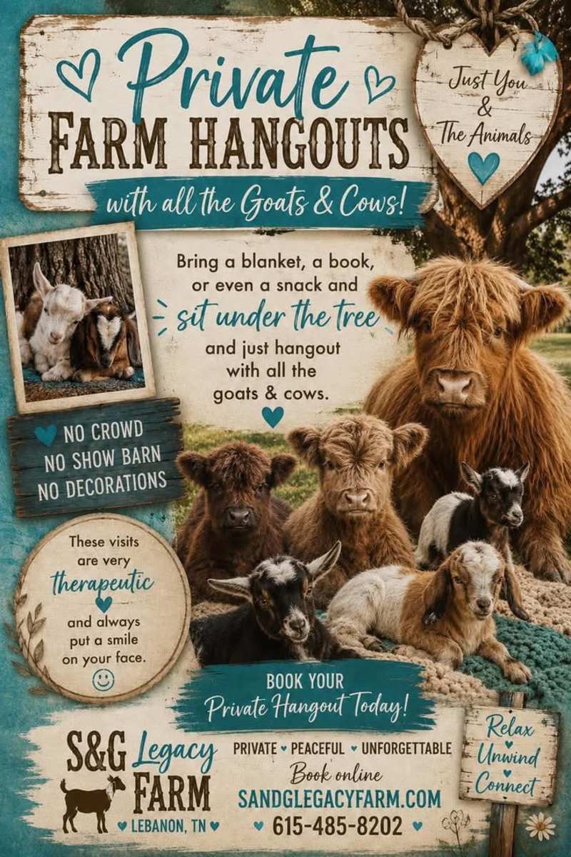 September - Hangout Sessions - You, Goats and Cows - Click for showtimes