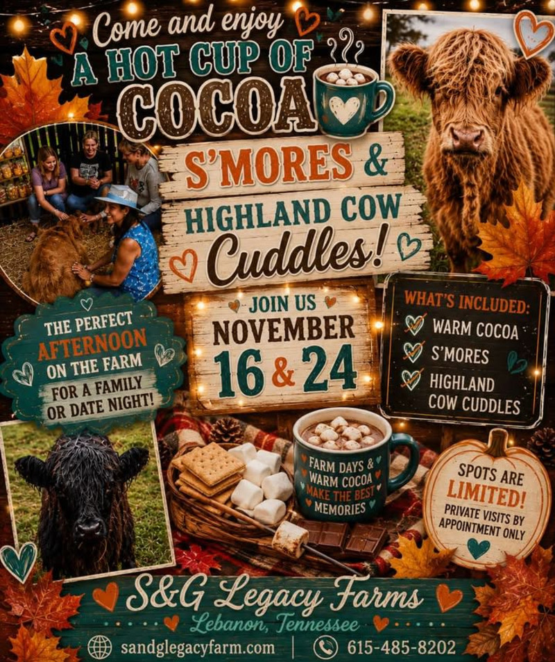 S'mores Hot Cocoa and Highland Cows - Click for showtimes