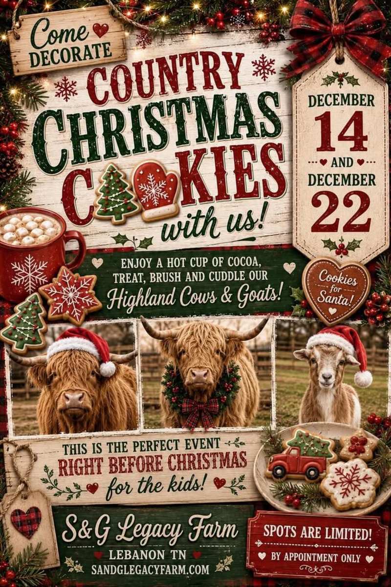 Christmas Cookies with Highland Cows - Click for showtimes