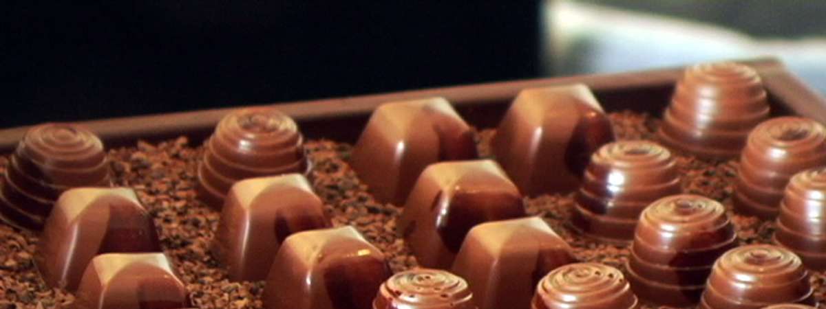 Fall Holiday Chocolate Salon and Festival 2026