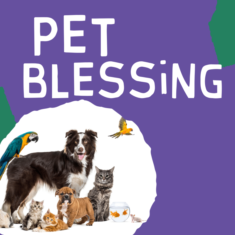 Pet Blessing
