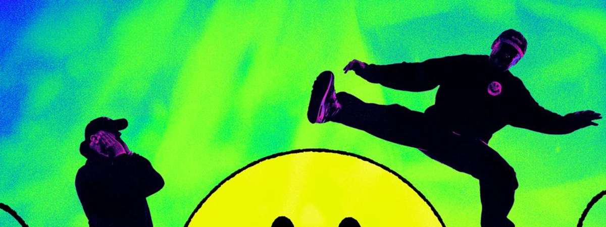 Hybrid Minds