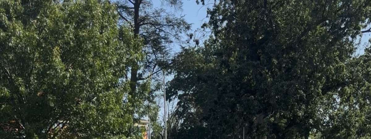 Flow at Bartram’s Garden: Community Yoga in the Garden