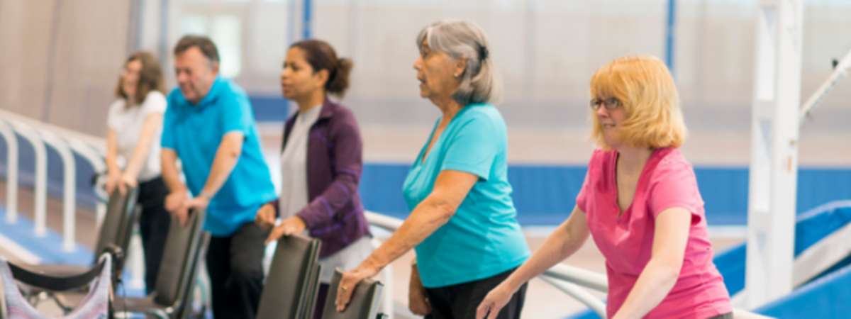 Low Impact Exercise (Chair Aerobics), Cardio Drumming, You Have Gmail!, Indiana Animals for Toddlers, Little Sprouts, Discover A