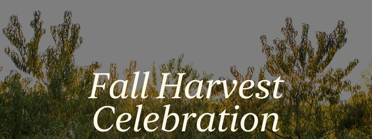 Fall Harvest Celebration