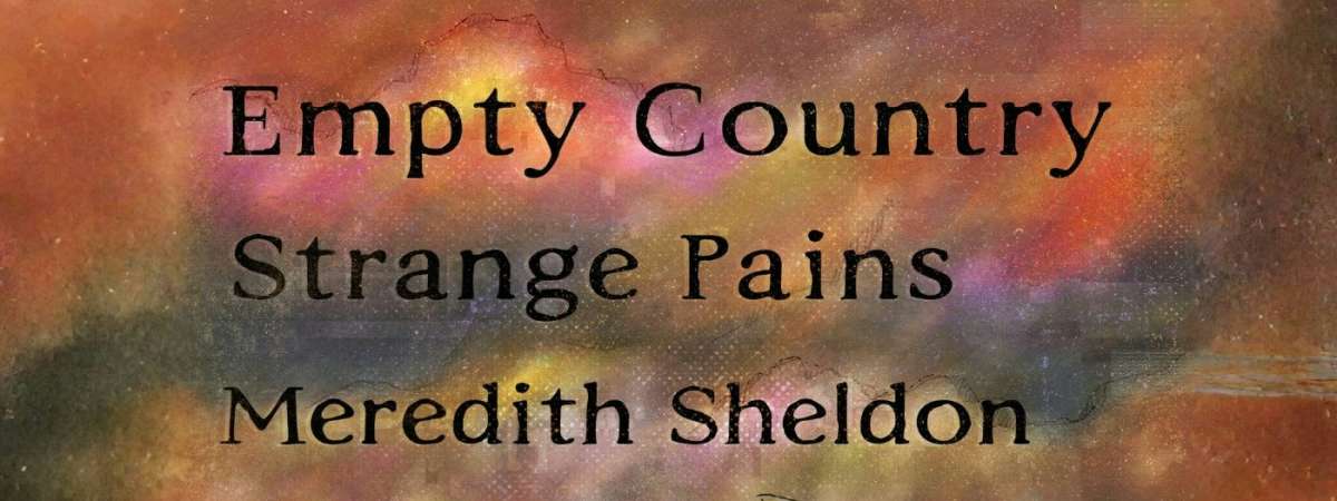 Empty Country / Strange Pains / Meredith Sheldon