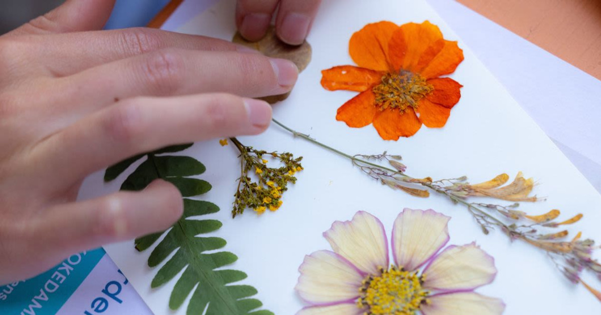 Pressed Flower Workshop at South Street