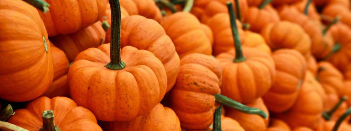 Ceramic Pumpkin Making!