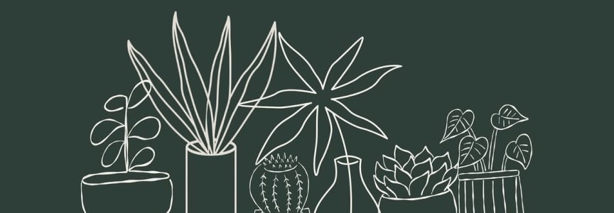 Plant Bingo