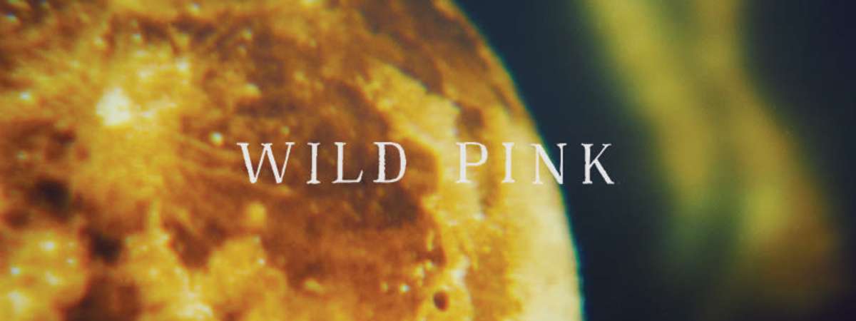 Wild Pink