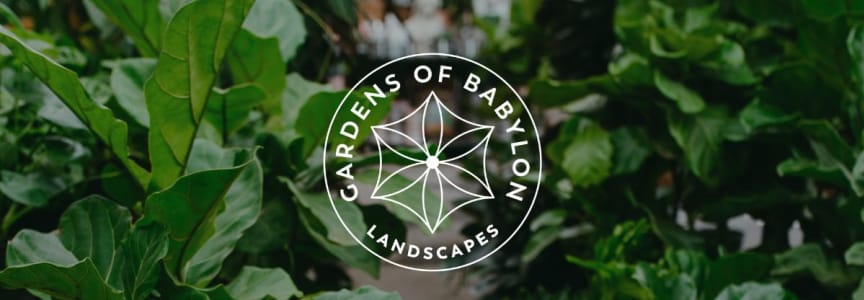 Cool Season Veggie Gardening 101 Workshop to Grow Fresh Organic Produce