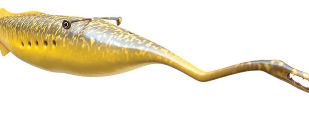 PlayLab PlayDate: Tully Monster Celebration with Paul Mayer