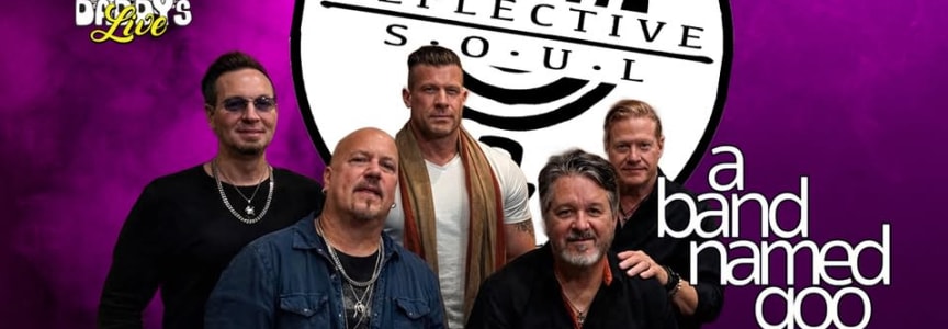 Reflective Soul w/a Band Named Goo