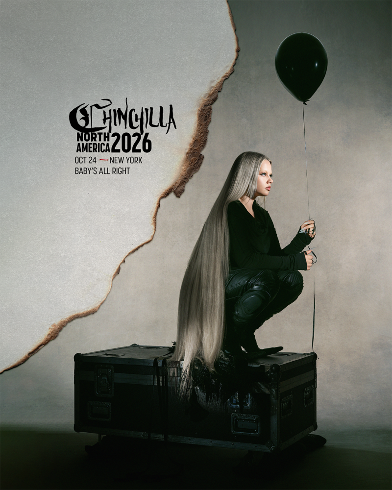 Chinchilla