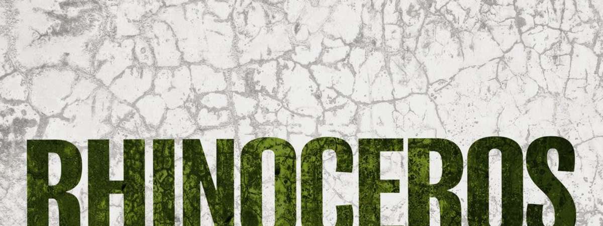 Rhinoceros