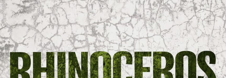 Rhinoceros