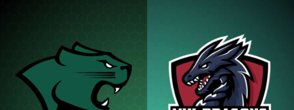 Chicago State Cougars vs. Virginia University of Lynchburg