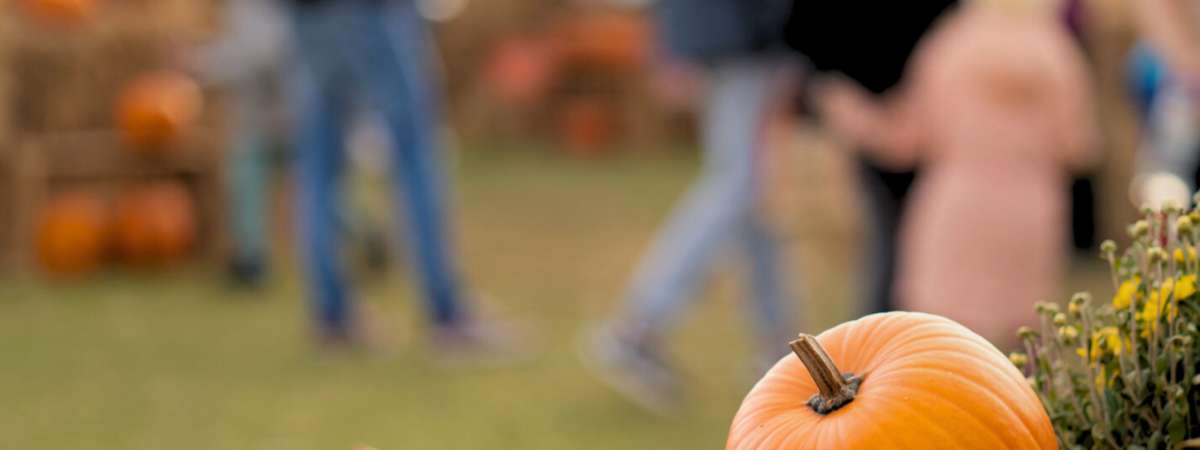 Fall Market at PGA Frisco