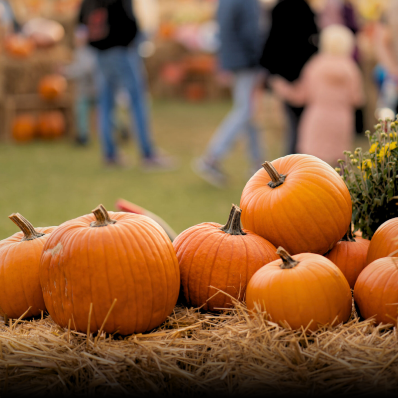 Fall Market at PGA Frisco