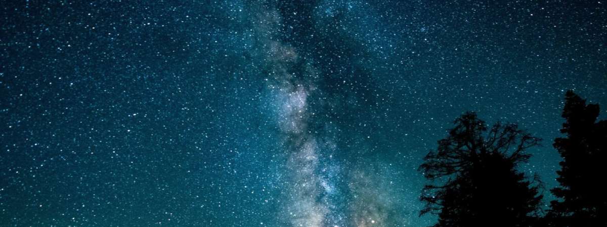 Nightwatch