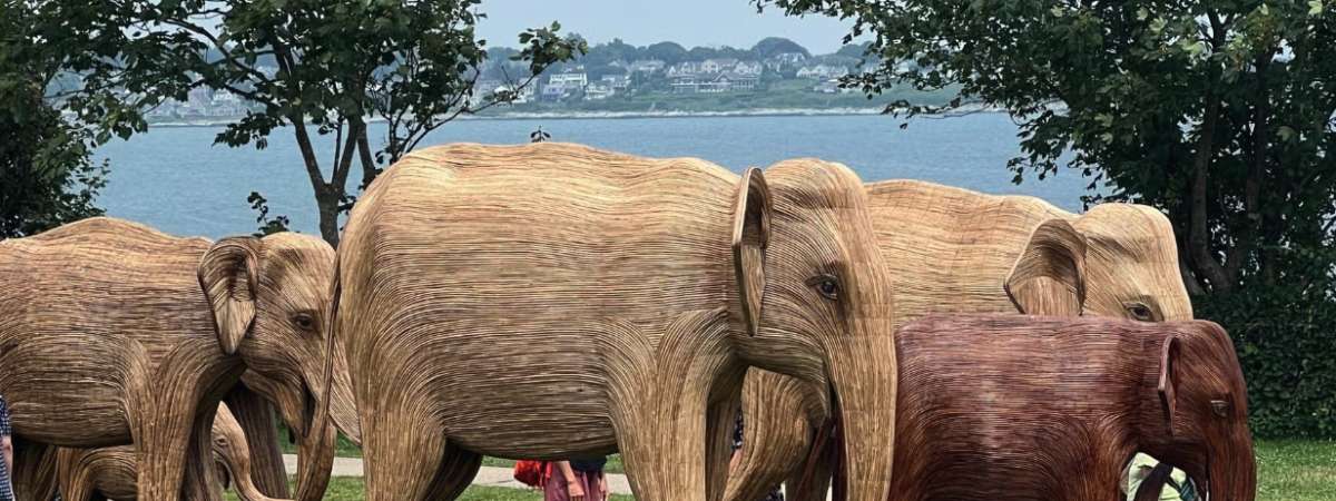 The Great Elephant Migration