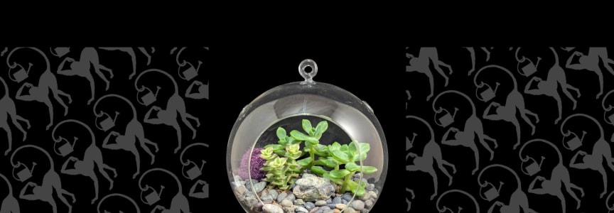 The Art of Succulent Terrariums: A Hands-On Workshop