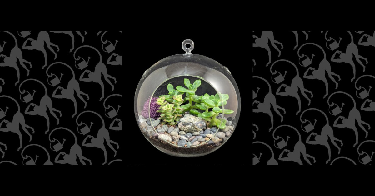 The Art of Succulent Terrariums: A Hands-On Workshop
