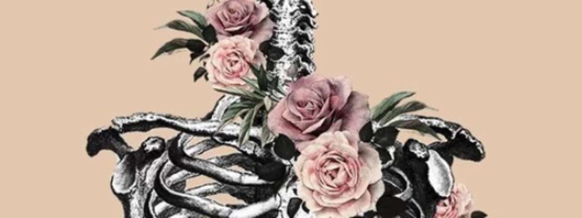 Early Show: Ribcage