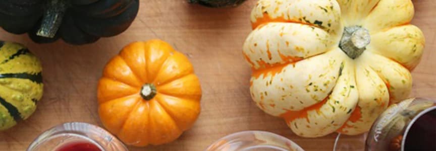 Wine and Cheese: Fall Edition