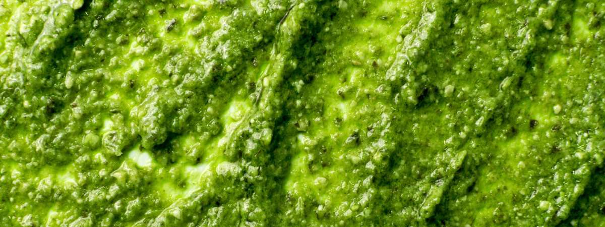 Hands-On: Pesto alla Genovese