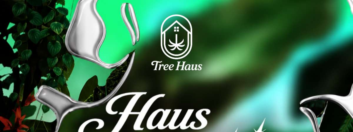 Tree Haus