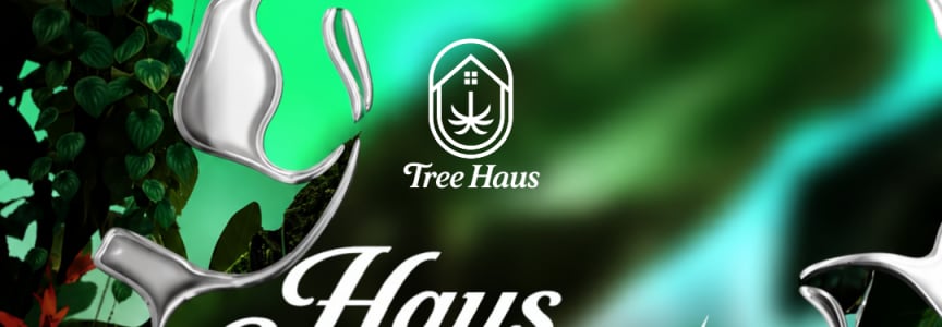 Tree Haus