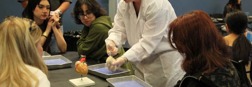 Doc Dissections