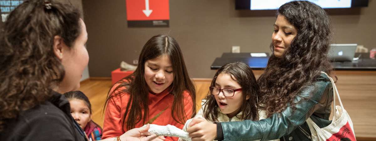 Meet a Scientist: fan-Tusk-tic Dicynodonts