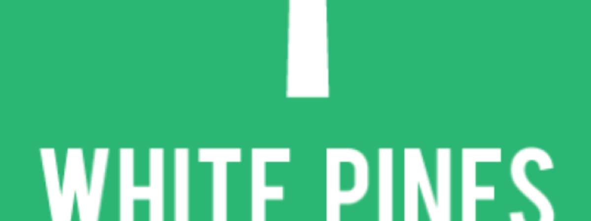 White Pines New Author Gala