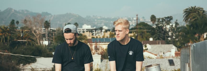 Snakehips