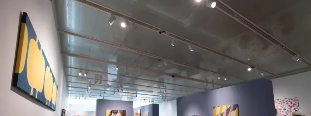 Members Last Look Tour | untitled: 20 Years of Collecting Contemporary Art | Friday Morning