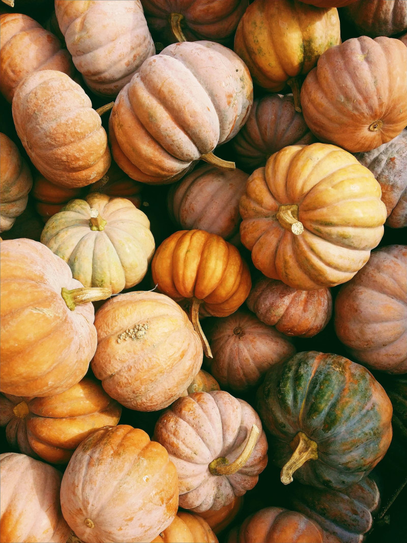Harvest Festival