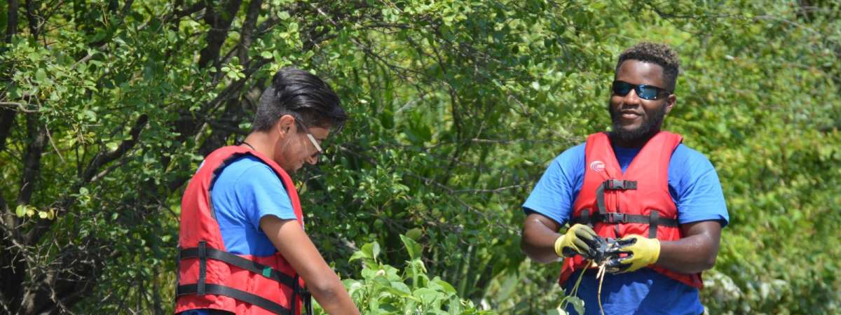 Paddle and Plant - Kickapoo Woods