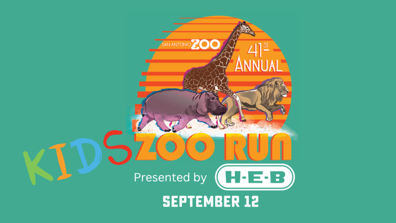 41st Annual Kids Zoo Run, Presented by H-E-B