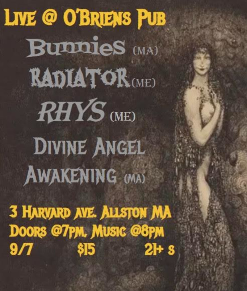 BUNNIES / Radiator / Rhys / Divine Angel Awakening
